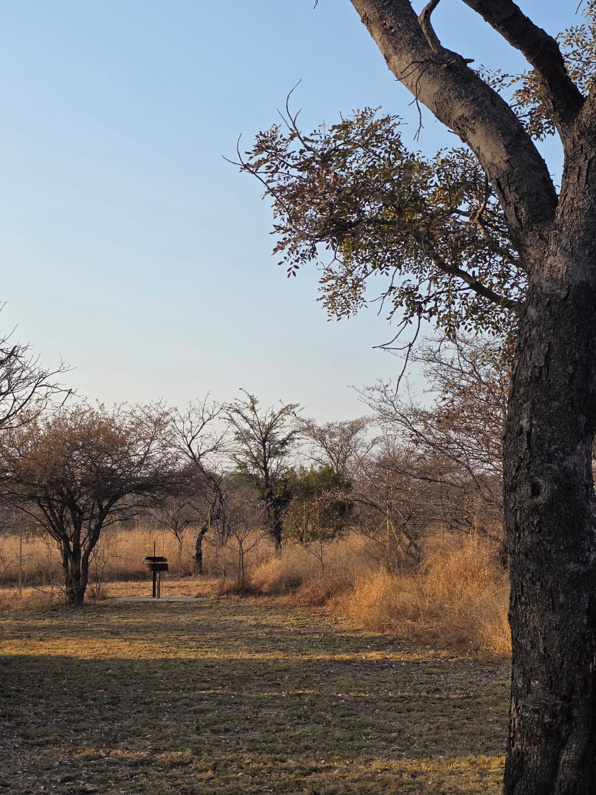 Bush camp accommodation at Steenbok Boskamp
