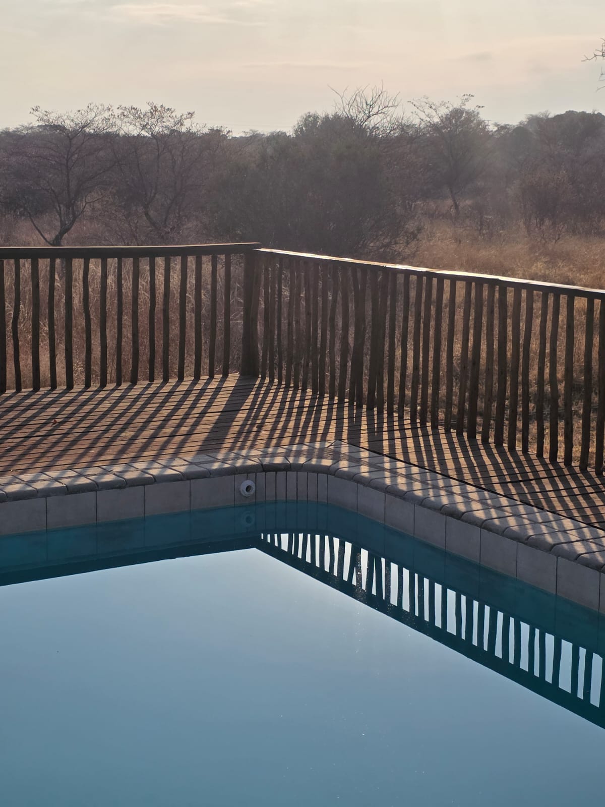 Swimming pool with wooden deck overlooking the Bushveld at Steenbok Boskamp